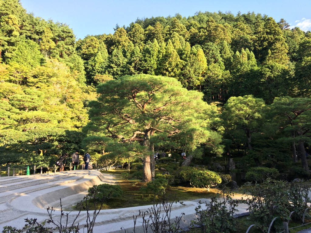 Clueless about how to design a Japanese&nbsp;garden