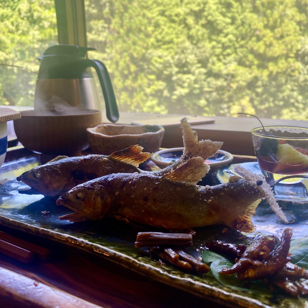 Comparing Obesity Rates and Factors in Japan, Switzerland, and the&nbsp;Netherlands