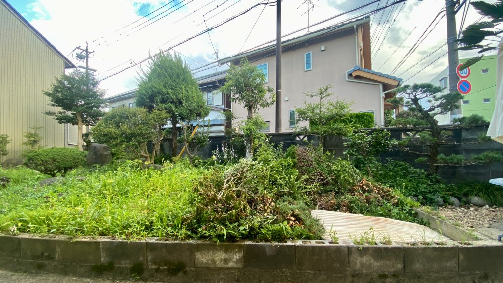 Garden Journey: Striving for Japanese Aesthetics and Soil&nbsp;Improvement