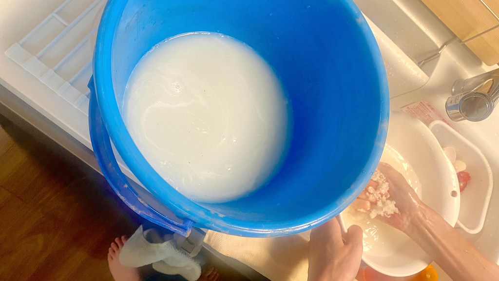 Rice Water to rescue Cape&nbsp;Jasmine