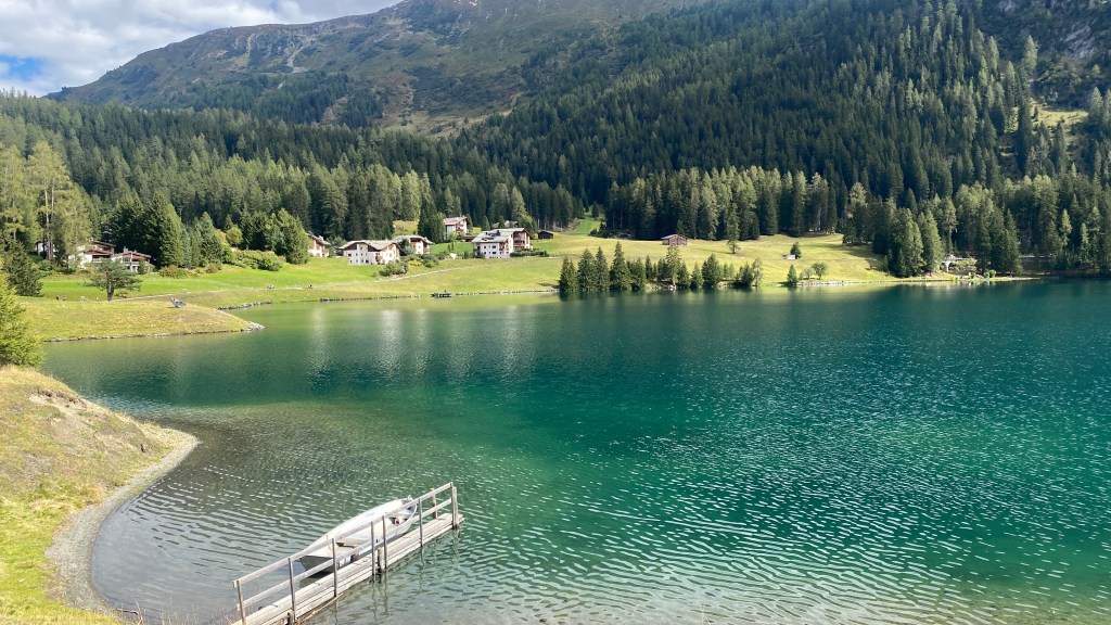 Crash Landing in Lake&nbsp;Davos