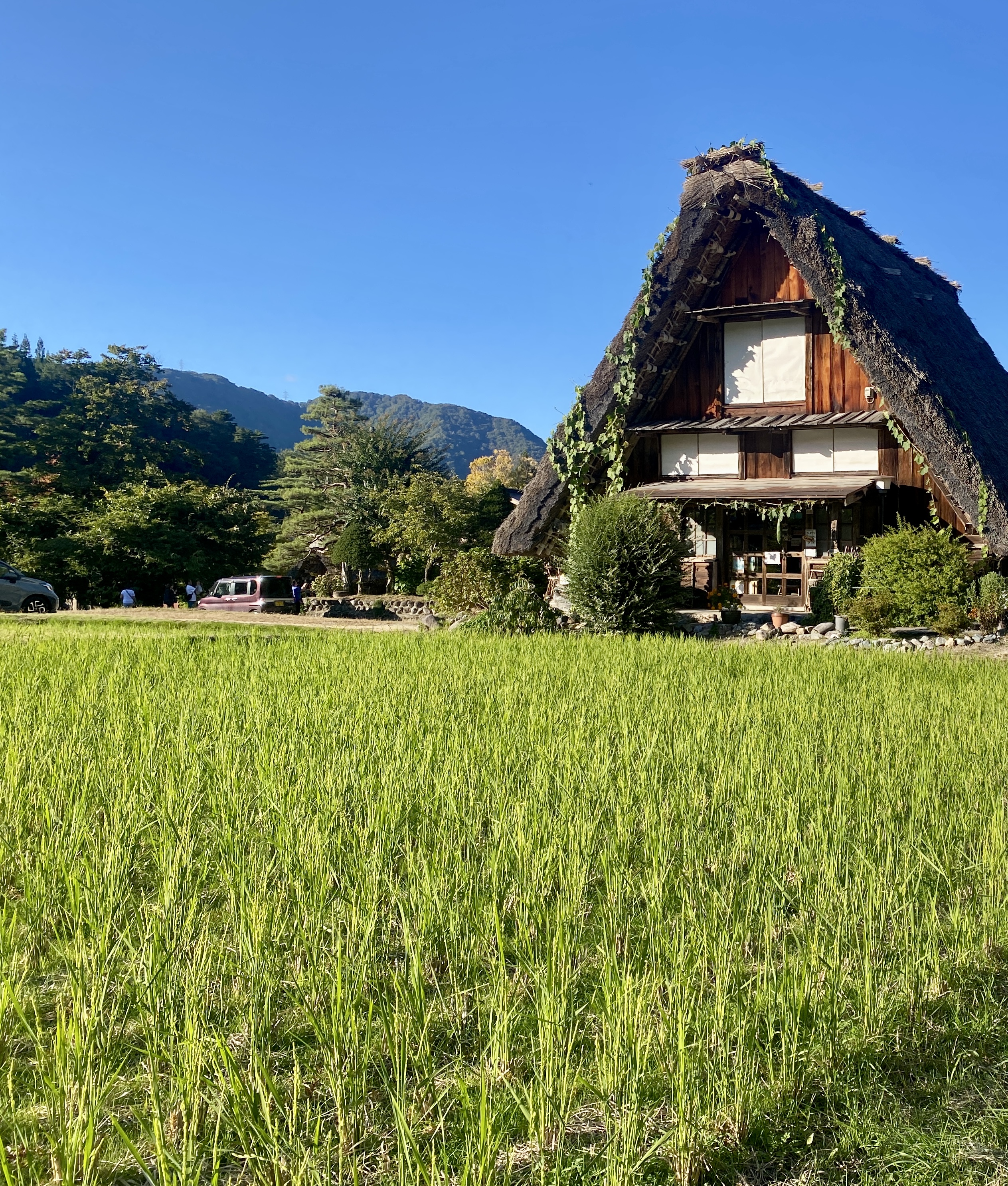 Shirakawa-go Travel Tips: Avoid Crowds and Enjoy