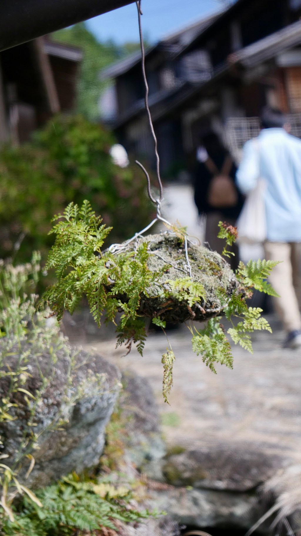 Kokedama: Creative Plant Art for Your&nbsp;Home