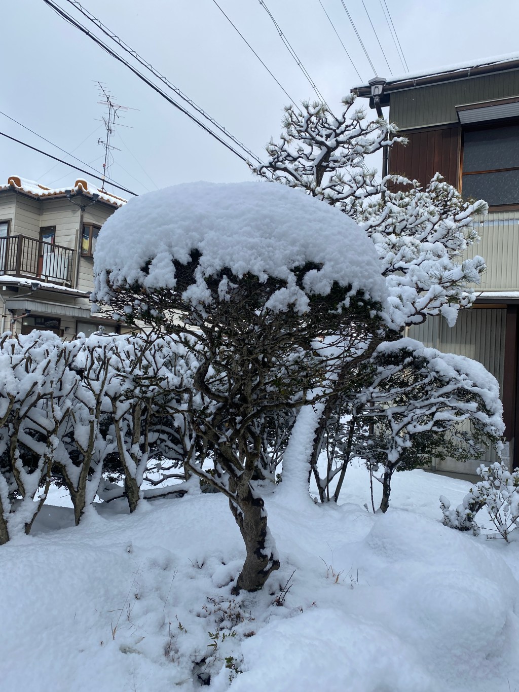 Anticipating Heavy Snow This&nbsp;Week