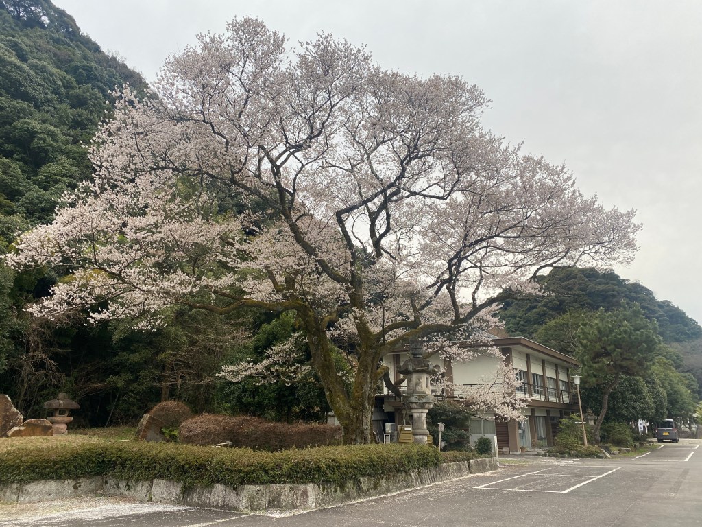 Lessons from Hosting Visitors in Japan