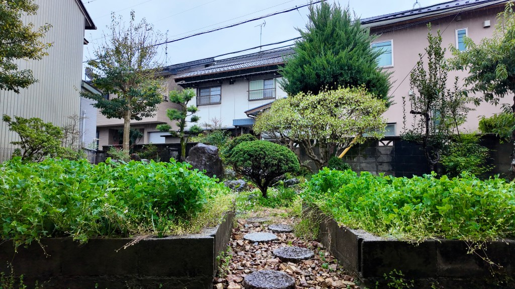 Letting Nature Lead โ How The One-Straw Revolution Changed My Garden and My Thinking