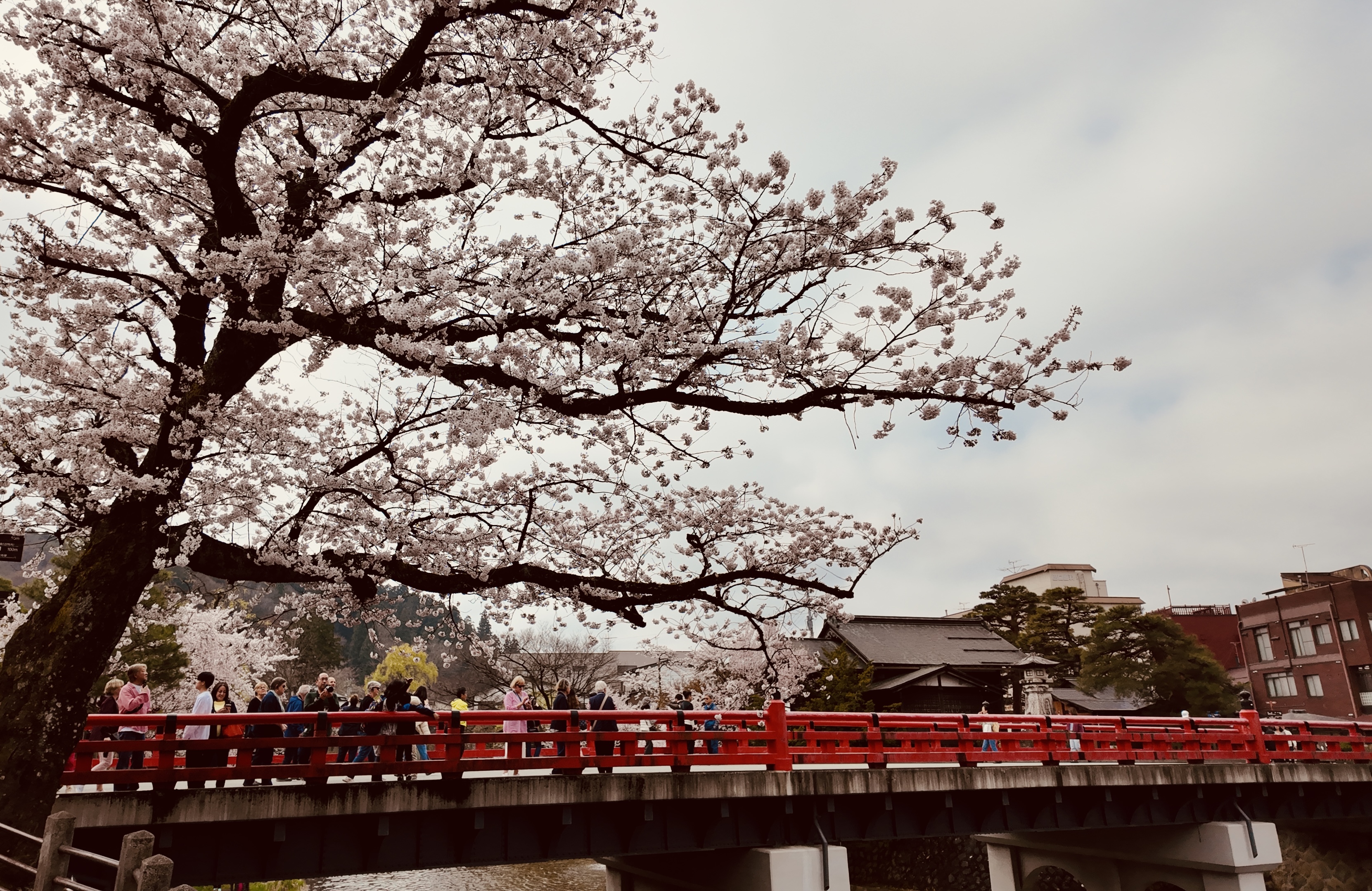 Hida Takayama: A Traveler’s Gem in Japan