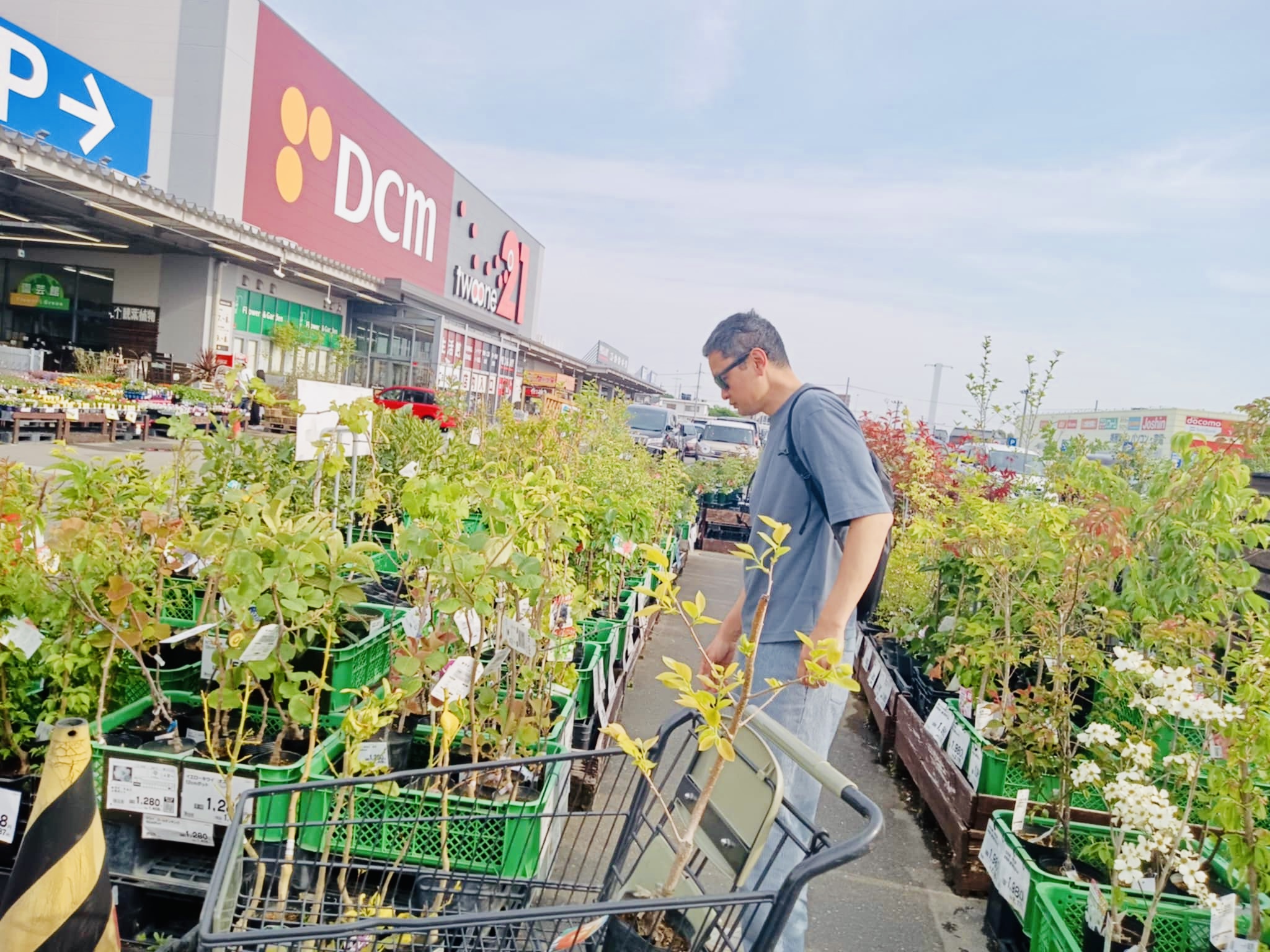 A New Beginning: Planting Fruit Trees with Nature’s Wisdom