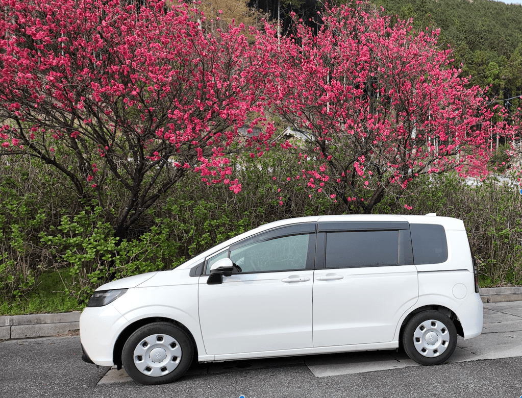 A Day in Neo Valley — When Plans Shift, Beauty&nbsp;Remains