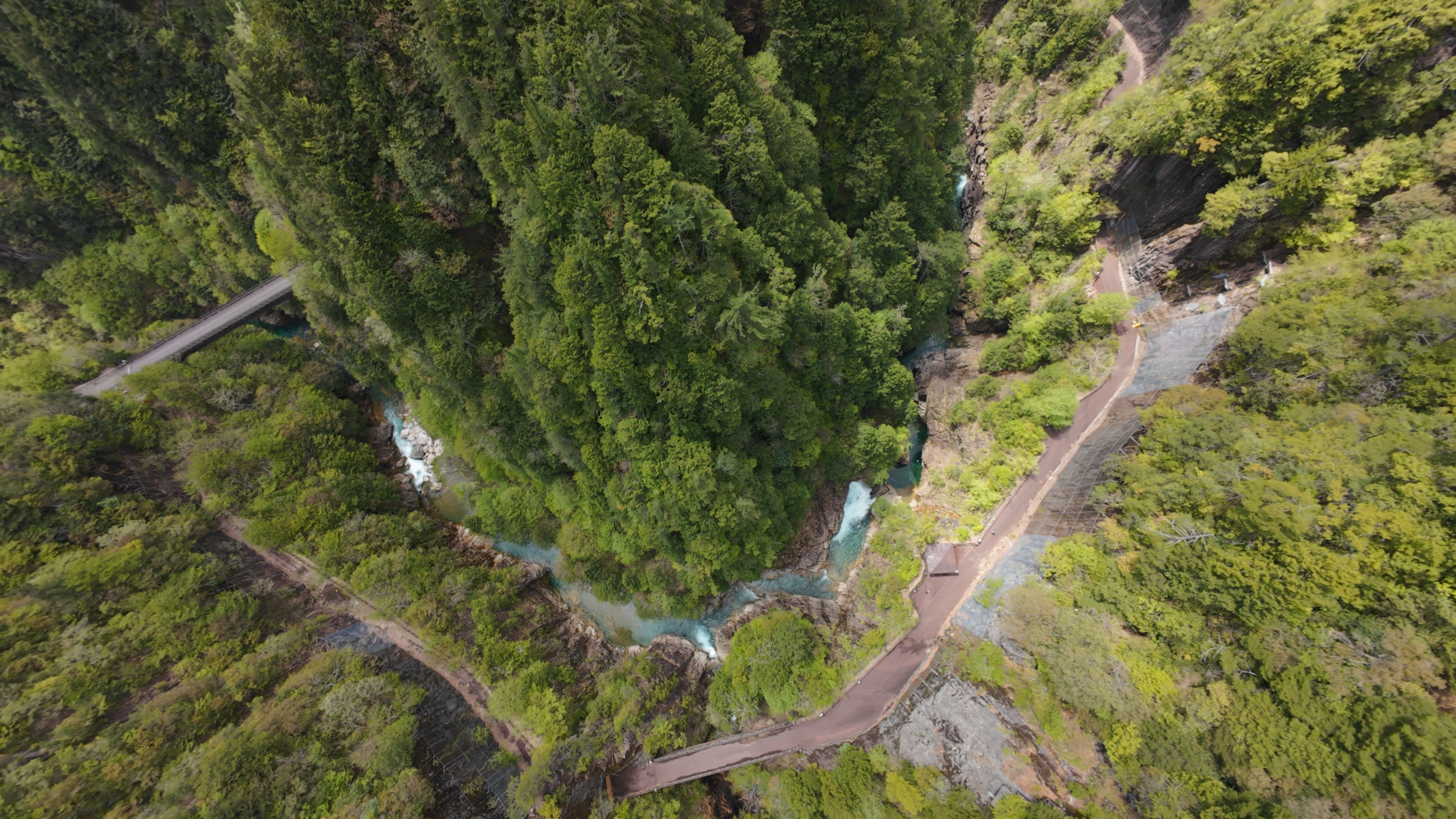 Nature’s Gems in Seki: Kaore Valley, 21st Century Cedar Forest, Monet’s Pond