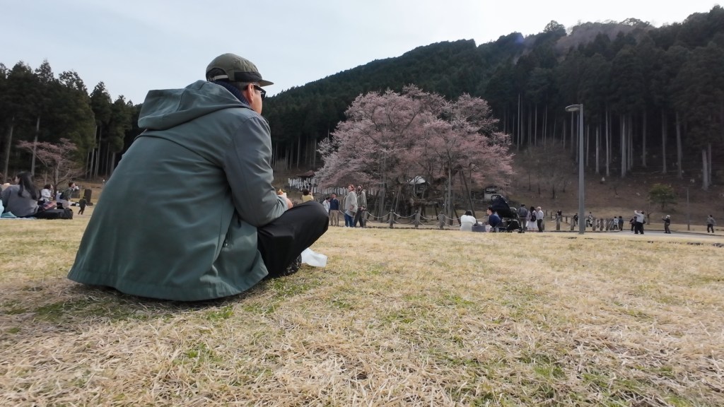 Before the Bloom: A Raw Visit to&nbsp;Usuzumi-Zakura