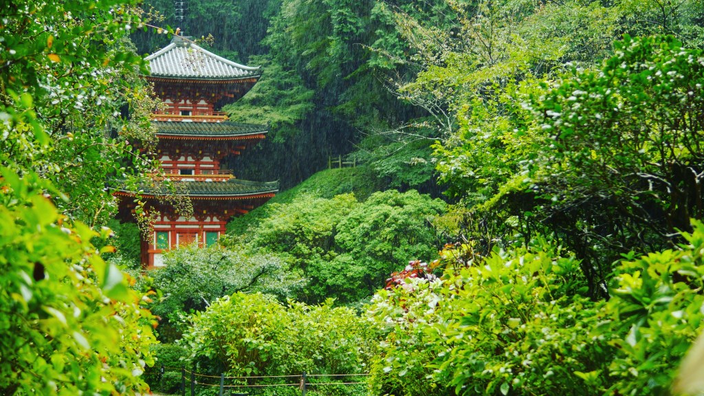 Japanβs Rainy Season Started Early in 2025 β What You Should Know