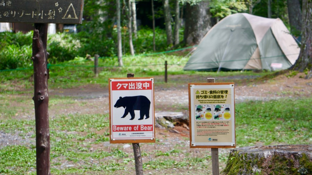 ๐พ Surge in Boar & Bear Encounters Across Japan