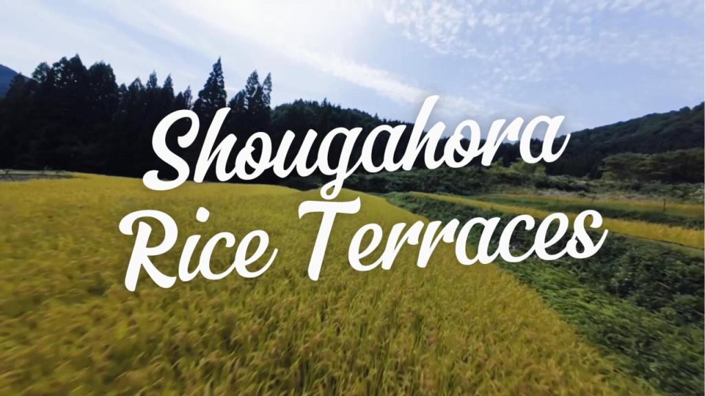 New Perspectives with FPV Drones