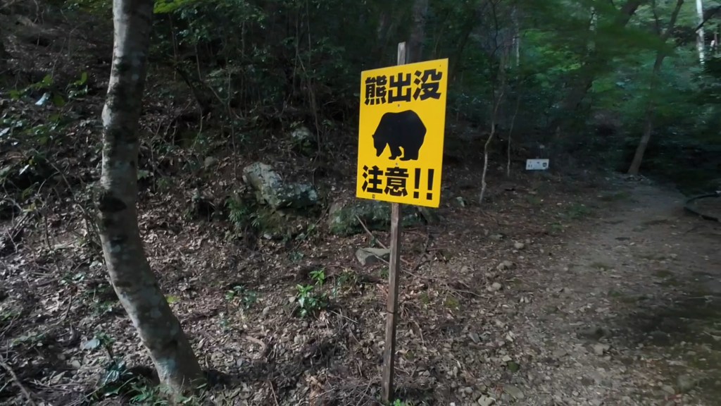 Why Are Bear Attacks Rising&nbsp;Worldwide?