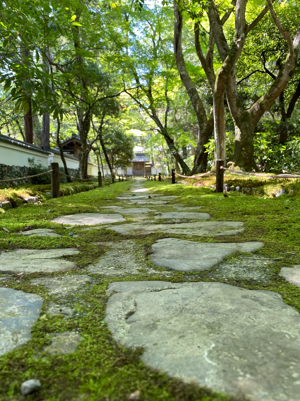 🌱 You Don’t Need to Know Your&nbsp;Destination