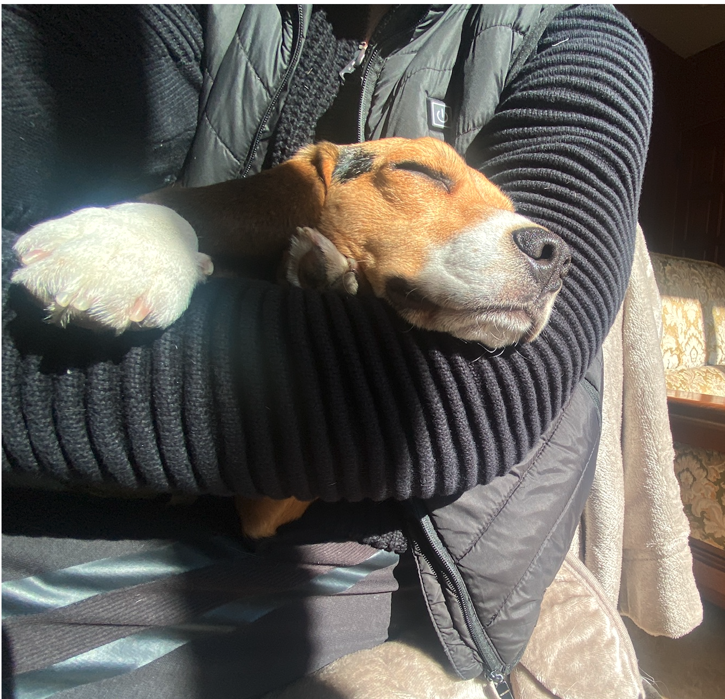 Smile Clubs and Cuddle Cafés in Japan