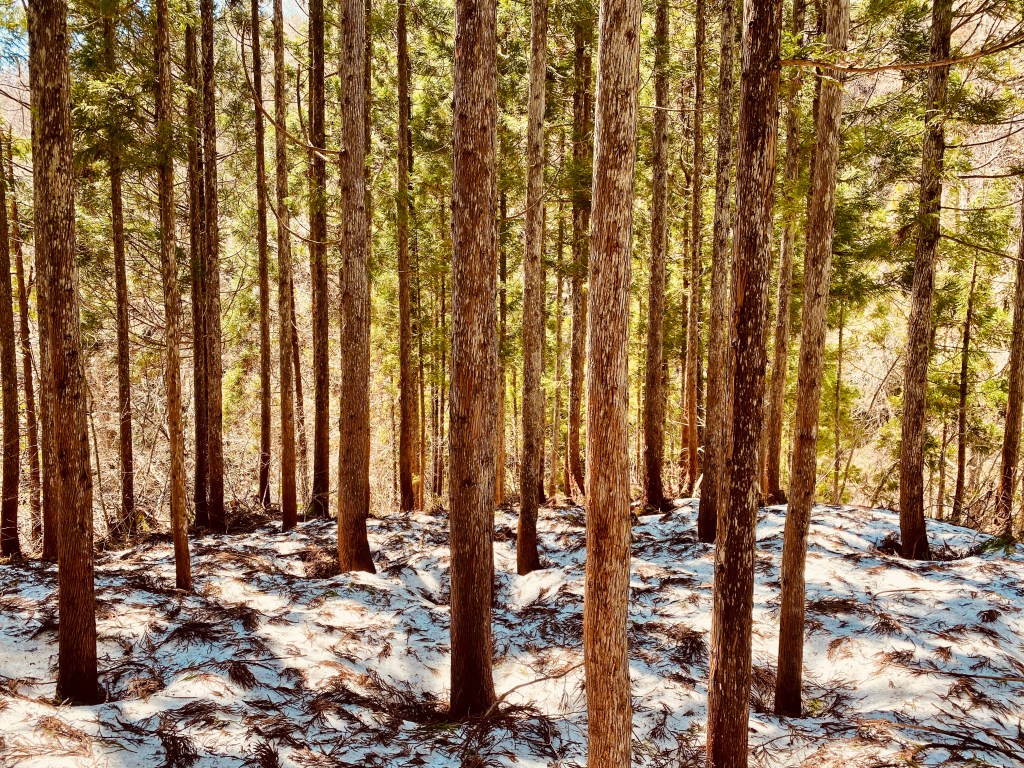 On Leaving Things&nbsp;Behind