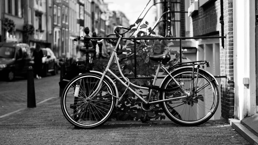 My Dutch Granny Bike Has More Loyalty Than Most People&nbsp;🌧️💨🚲💛