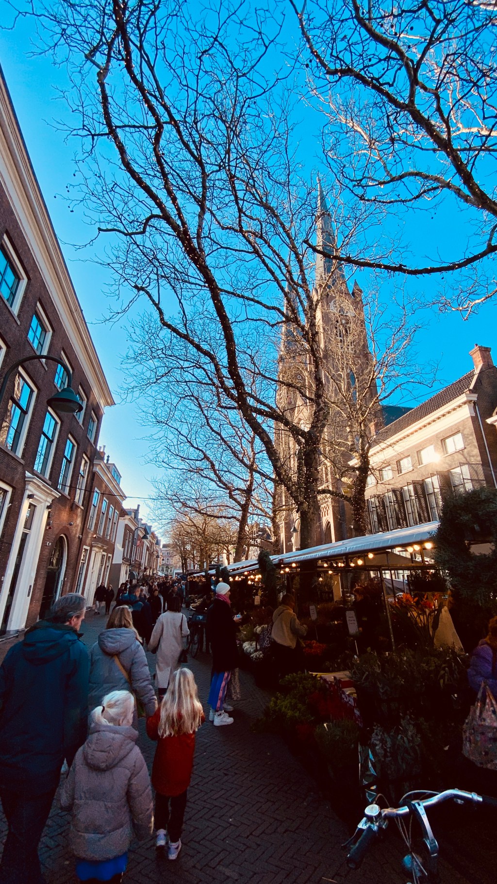 Winter Is Not the Problem ☃️&nbsp;🏔️