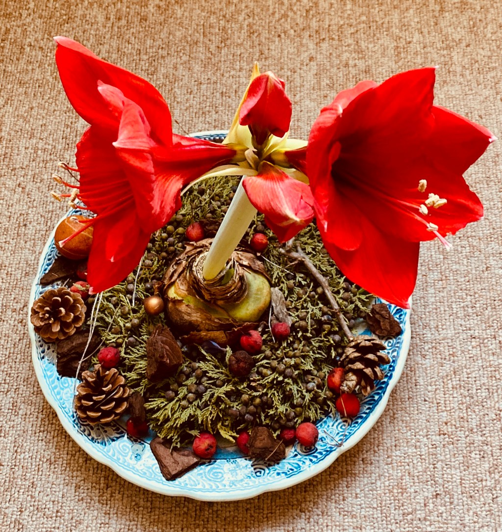 No Christmas Tree This&nbsp;Year