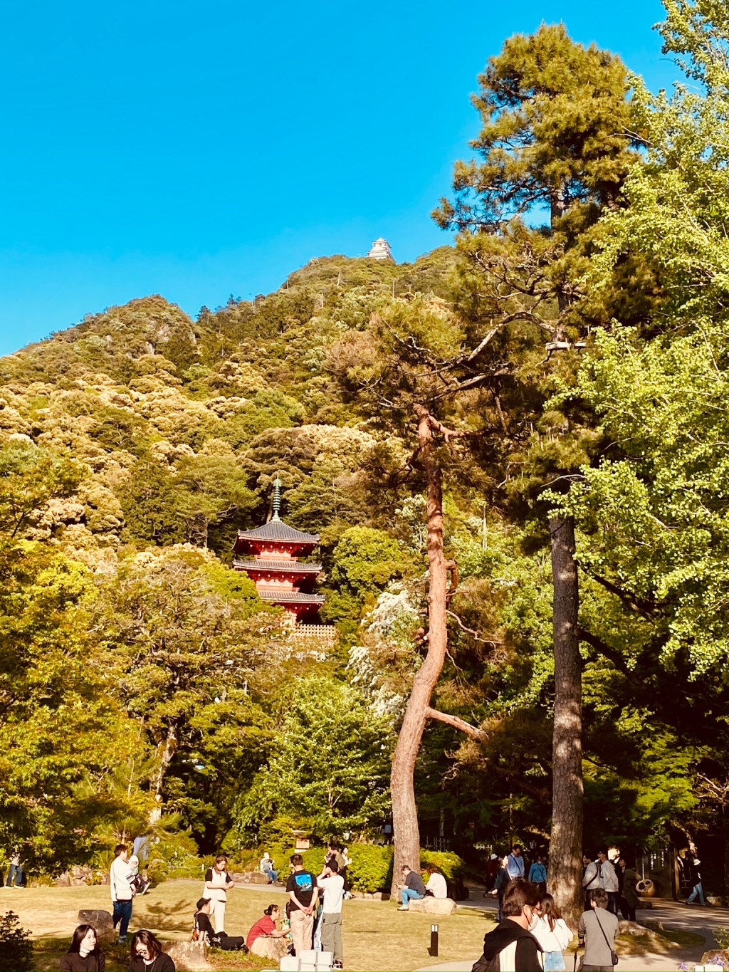 Living in a Place Before Knowing Its&nbsp;Story