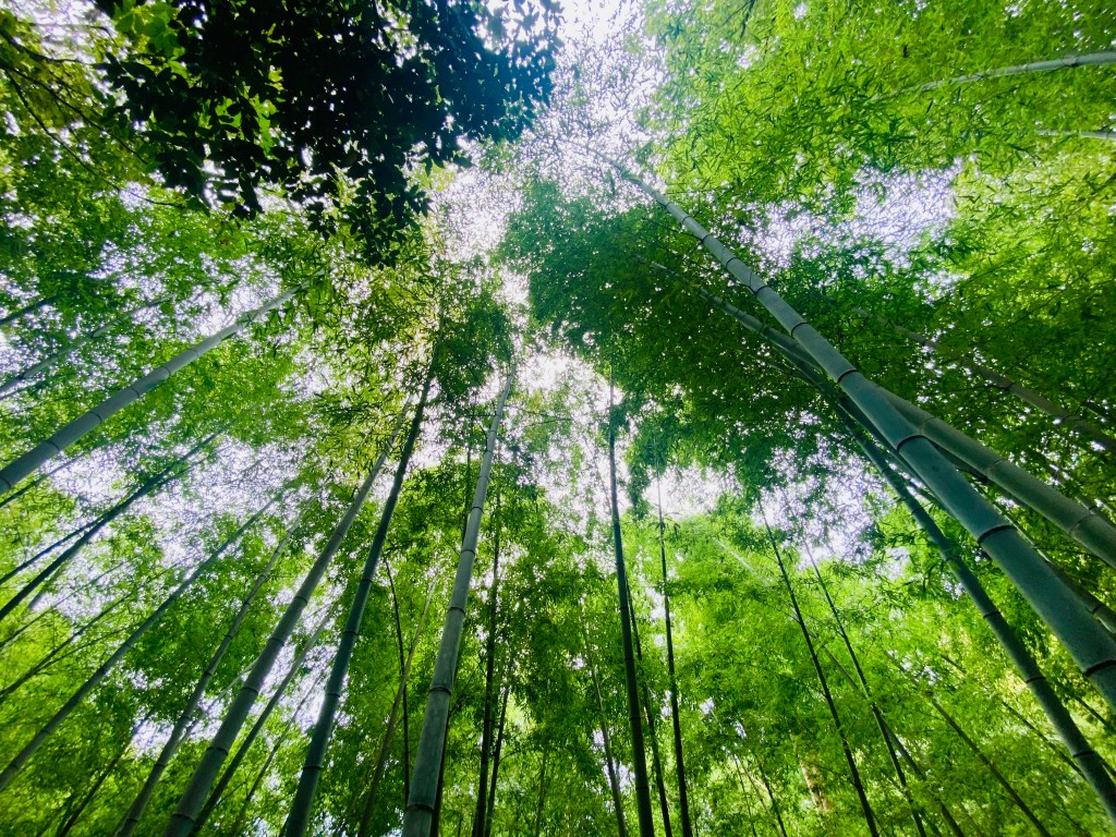 Growing Like a&nbsp;Garden