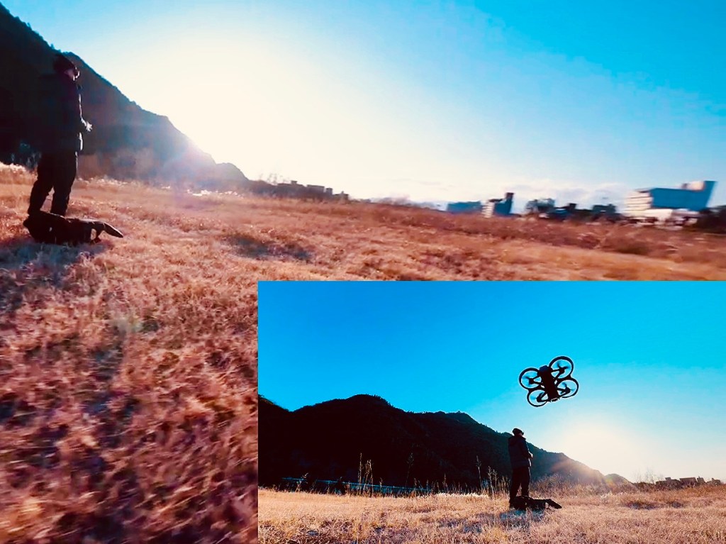 From Learning to Fly to Learning Why I&nbsp;Fly