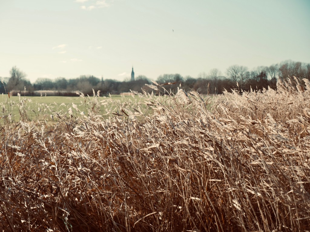 Financial Systems Do Not Only Tax&nbsp;Money