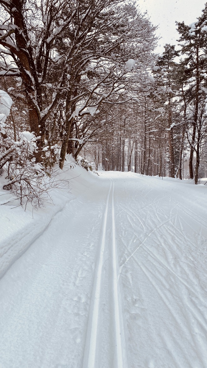 From Confusion to&nbsp;Curiosity