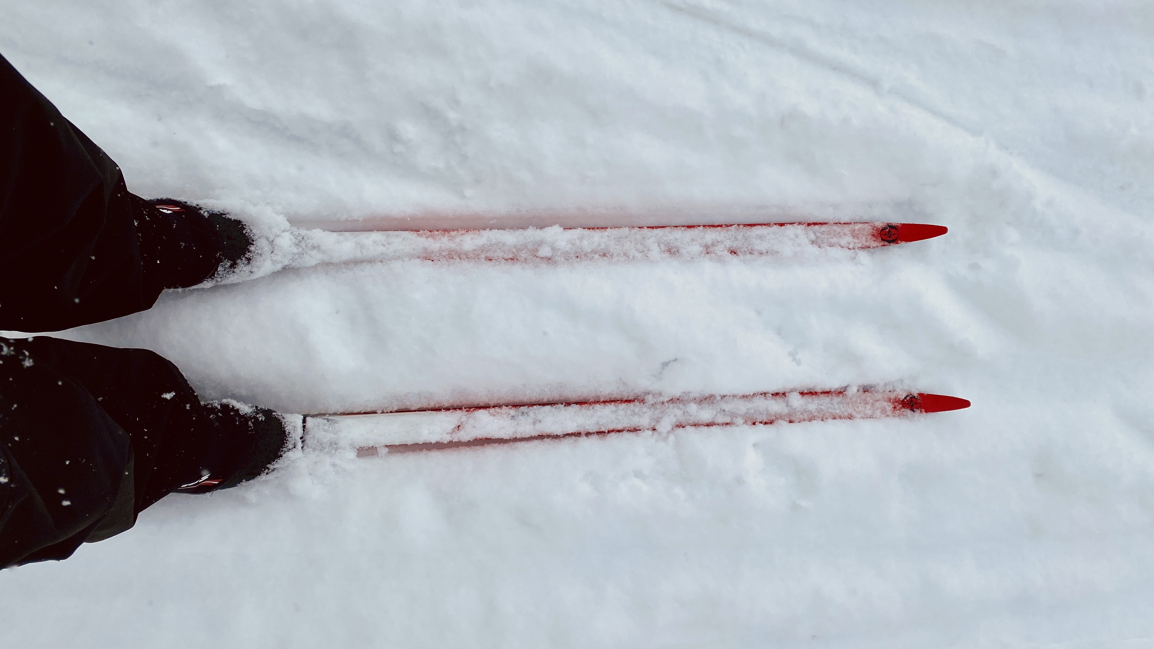 Trying Cross Country Skiing for the First Time
