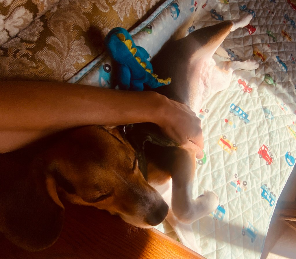 The Future of Human&nbsp;Touch