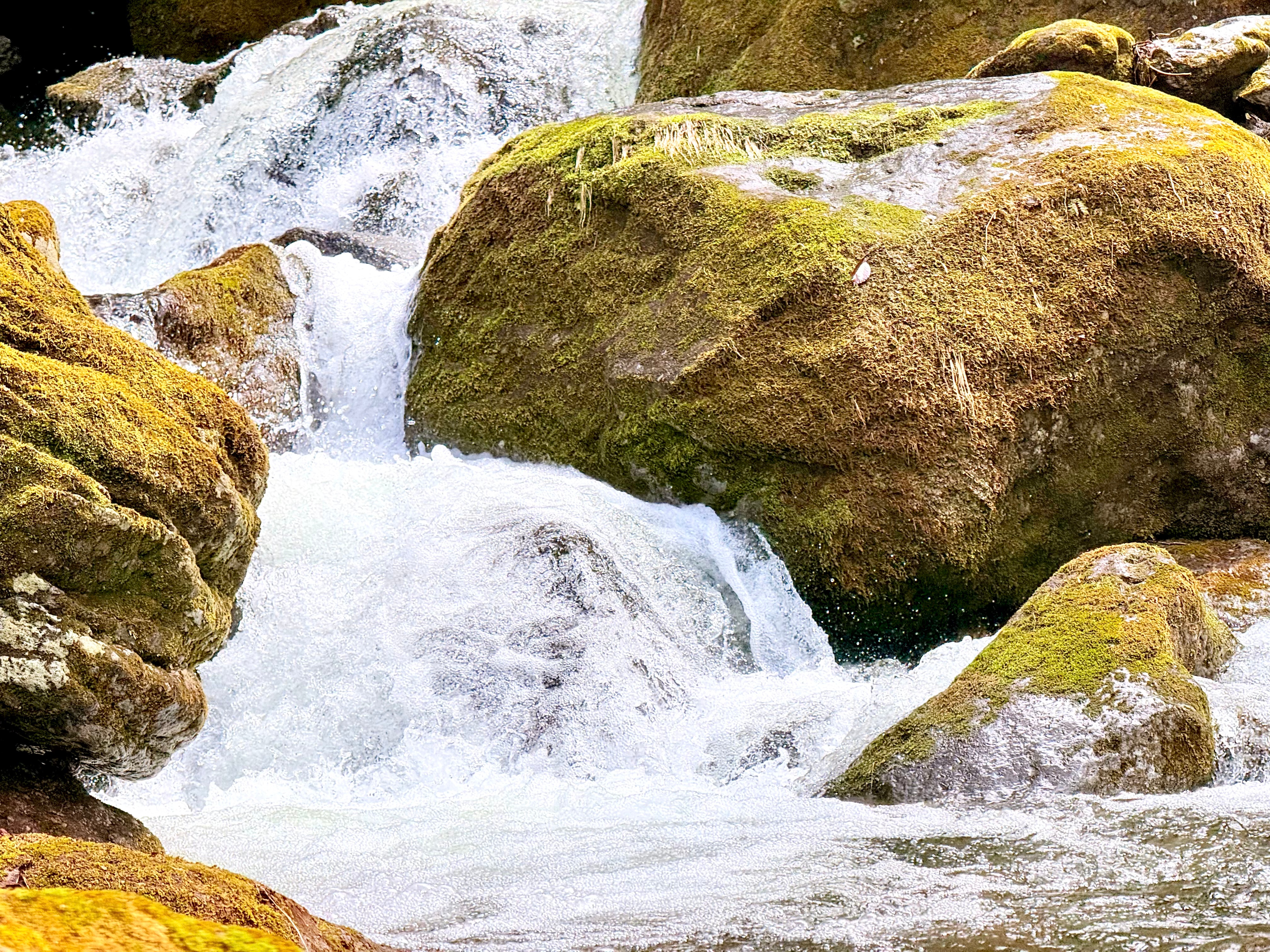 A Swiss Guy Hosting in Japan