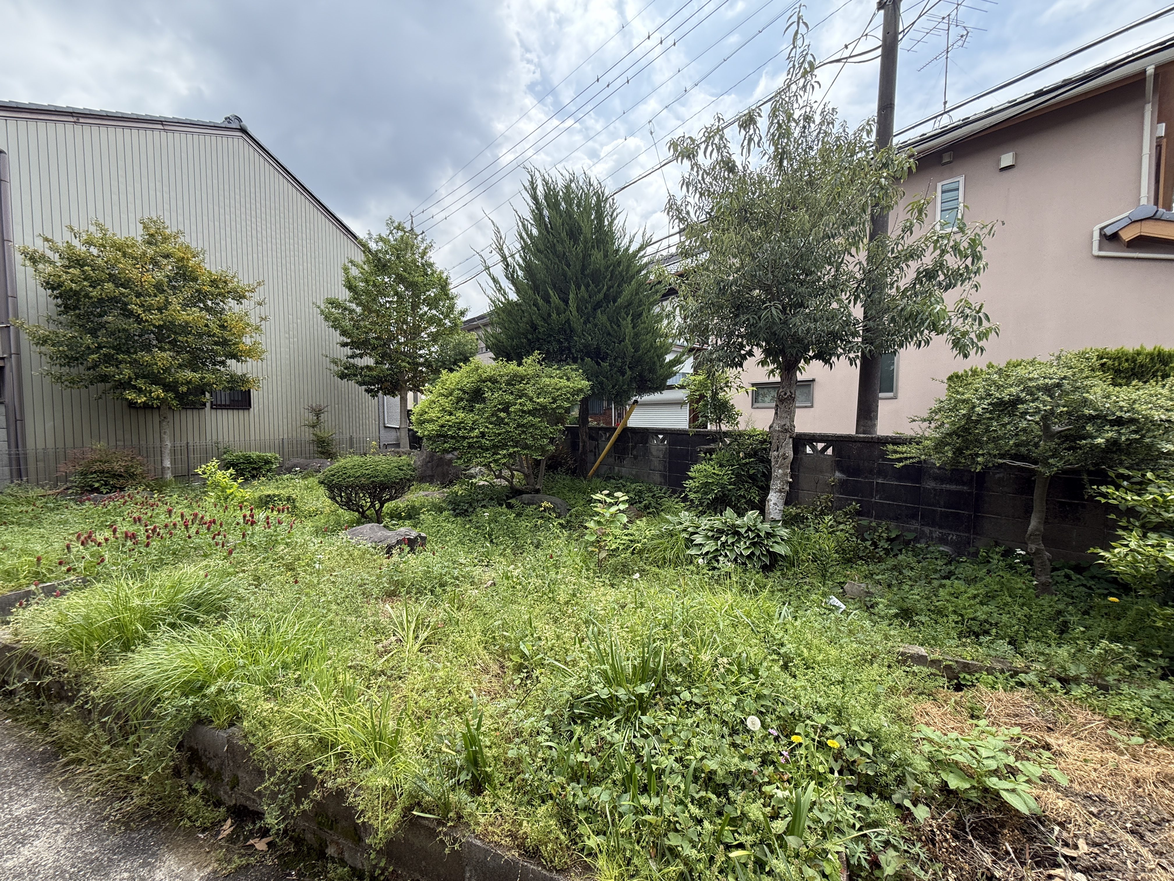 Letting the Garden Be