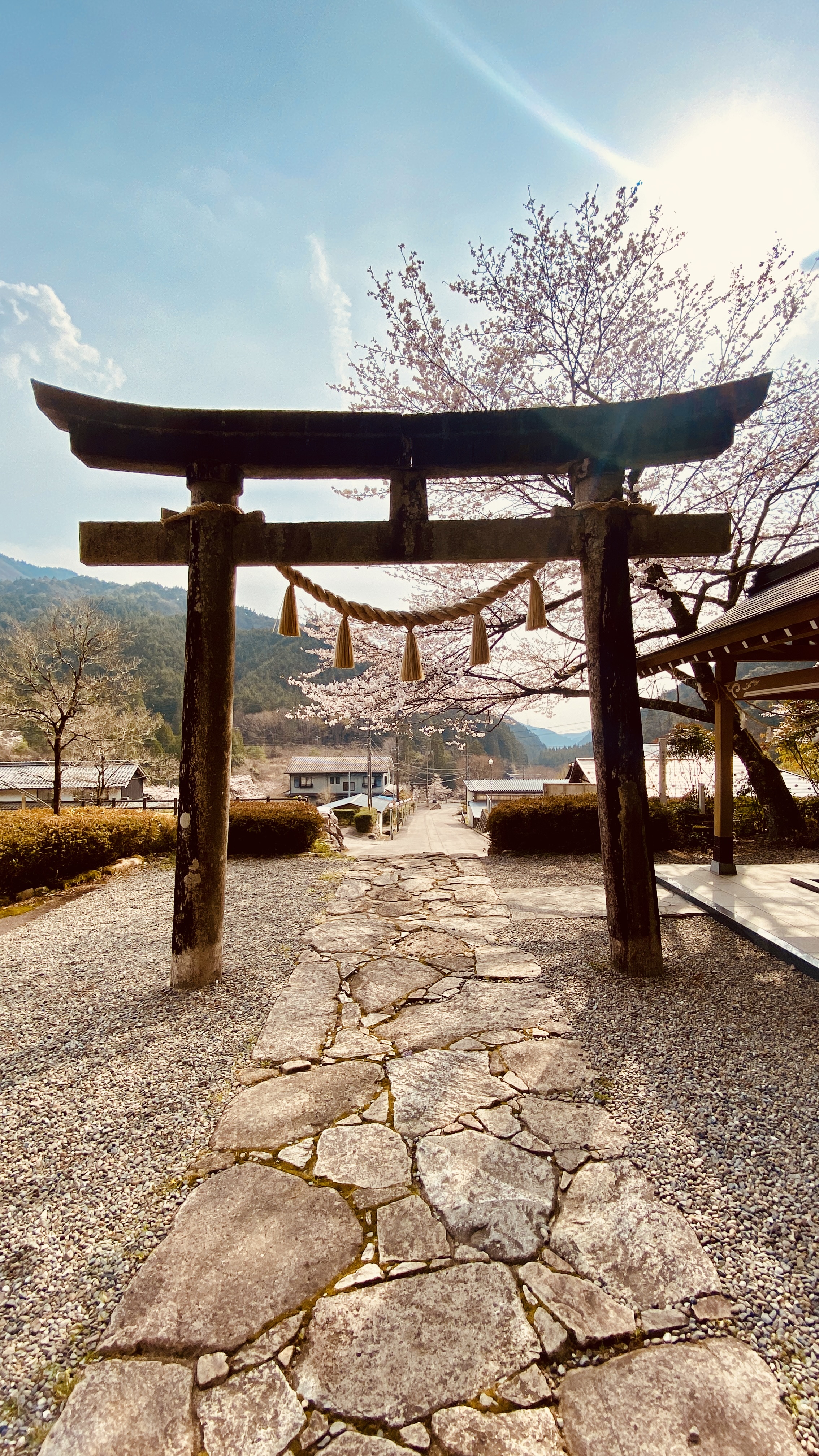 Watching Japan And Living In It