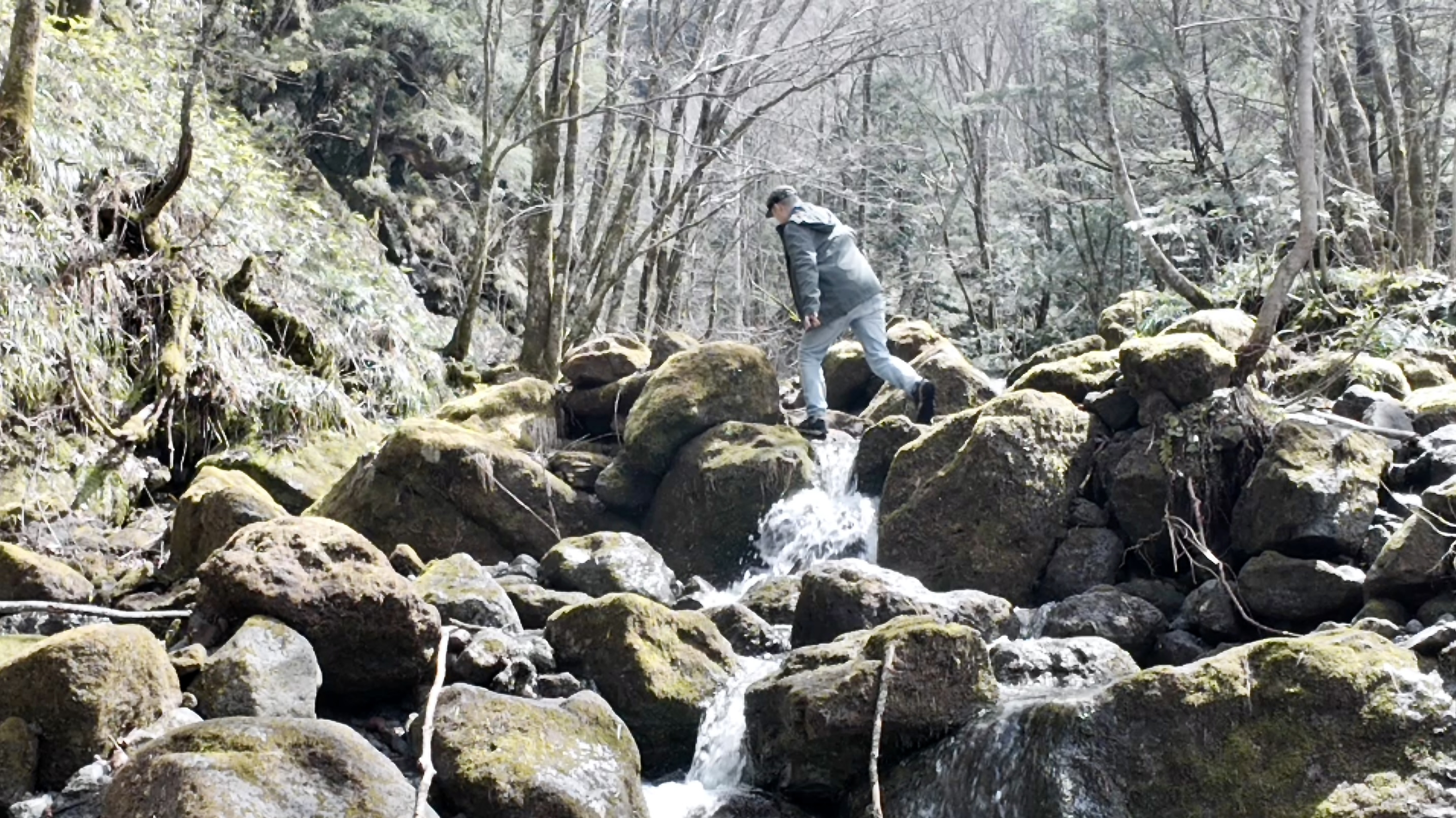 I Didn’t Need a Plan