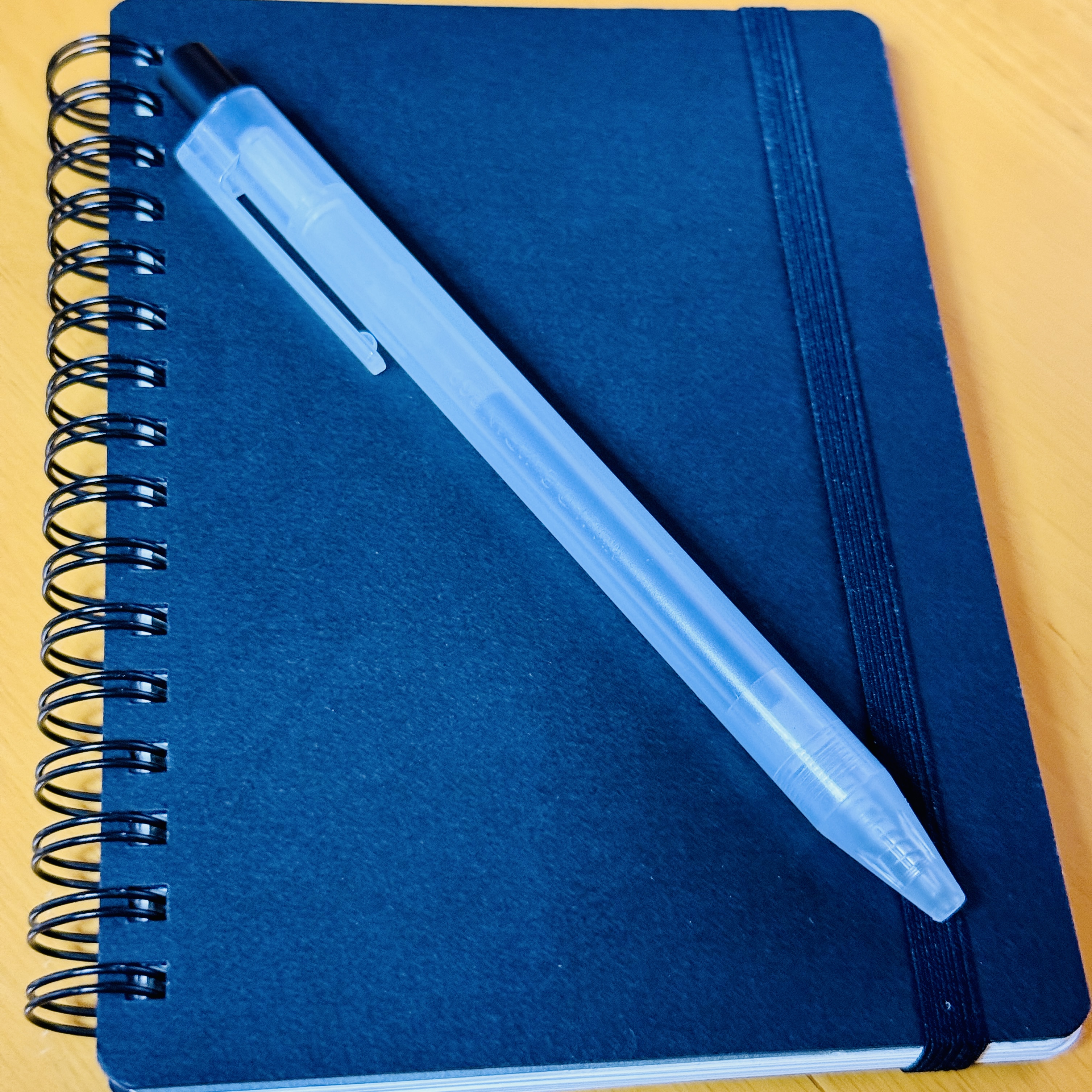 Field Notes Sparked My Creativity